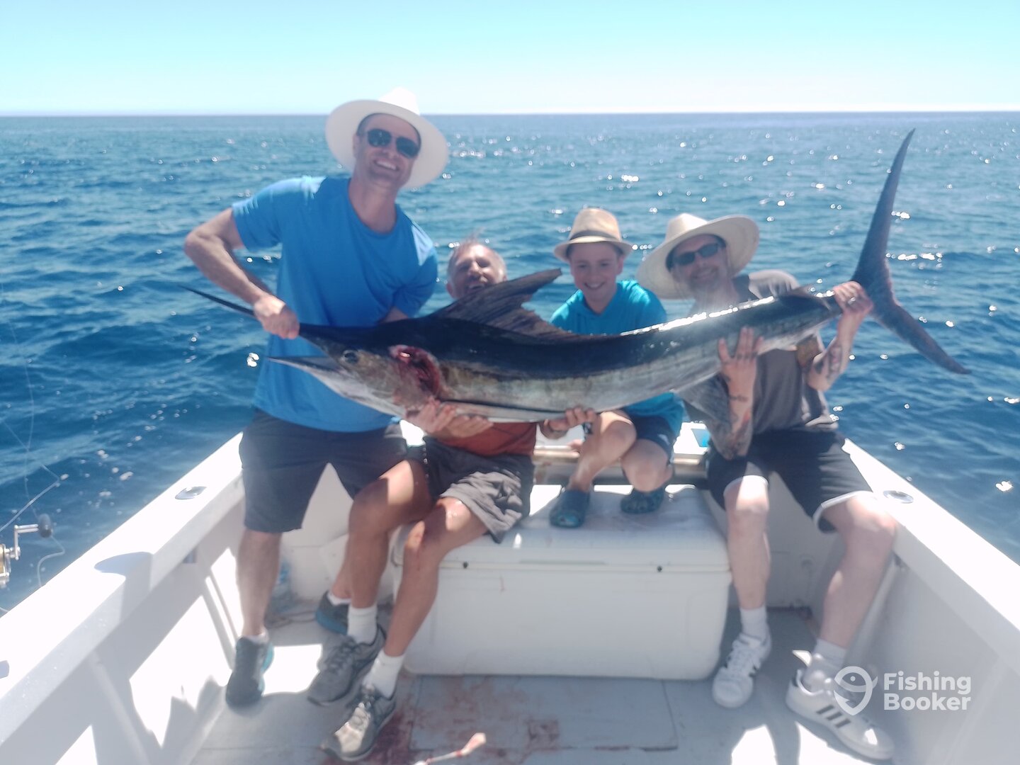 San Jose del Cabo Report Photo 0