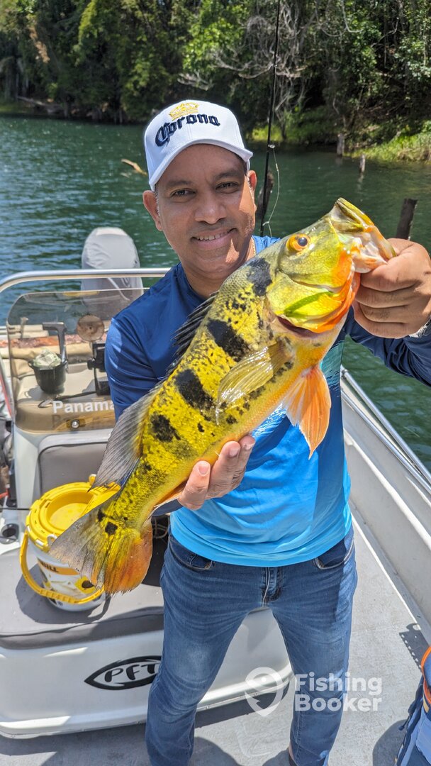 Gamboa Report Photo 0