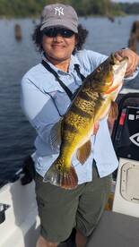 Gamboa Report Photo 2