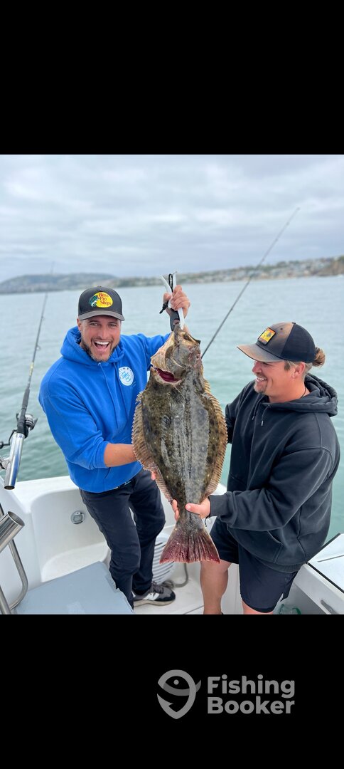 Dana Point Report Photo 0