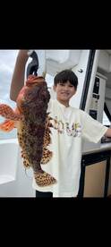 Dana Point Report Photo 1