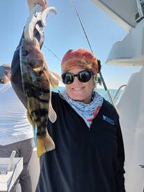 Dana Point Report Photo 2