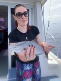 Calheta Report Photo 2