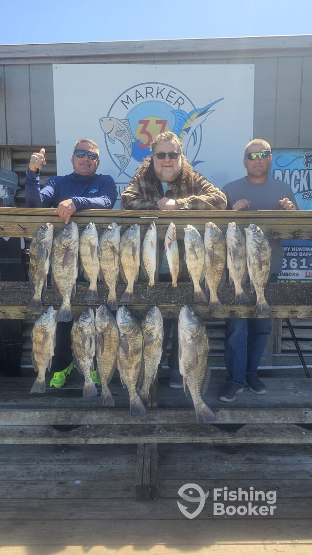 Corpus Christi Report Photo 0