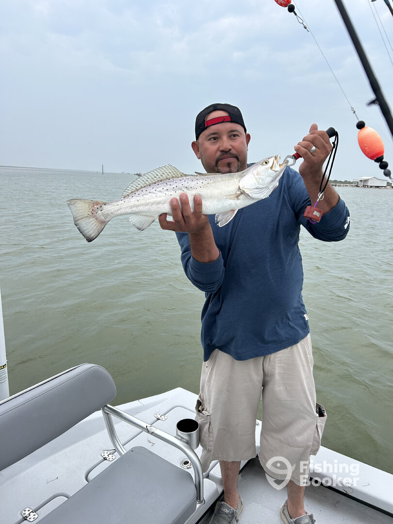 Corpus Christi Report Photo 0