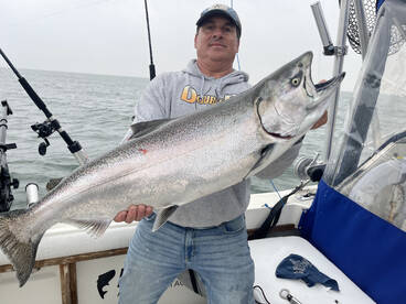 Rochester Report Photo 2