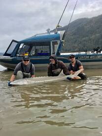 Chilliwack Report Photo 2