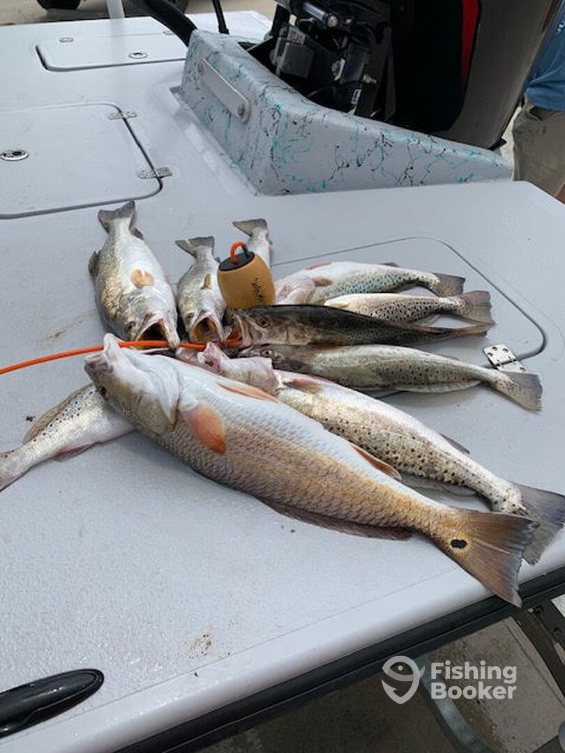 4/17/24