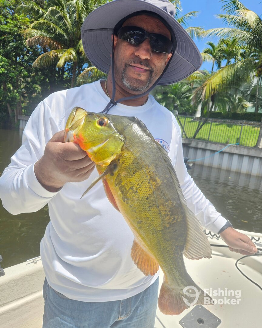 Delray Beach Report Photo 0