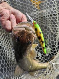 Lakeside Marblehead Report Photo 2