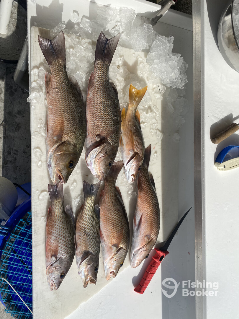Key West Report Photo 0