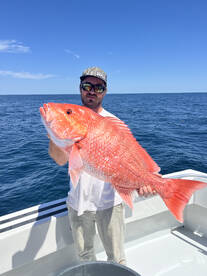 Destin Report Photo 1