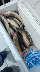 Port Clinton Report Photo 1