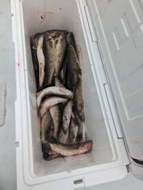 Port Clinton Report Photo 2