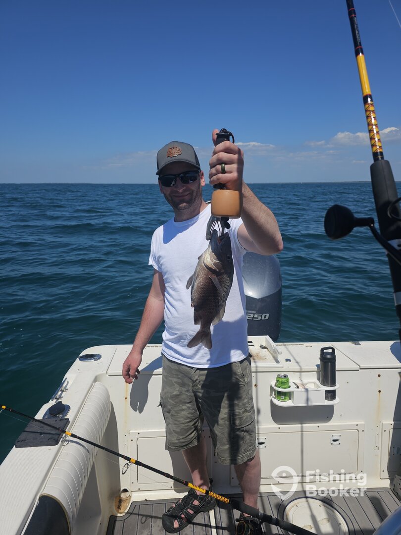 Belleair Bluffs Report Photo 0