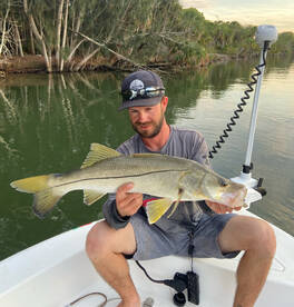 Snook are in! 