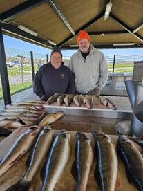 !!Sunshine walleye roundup!!