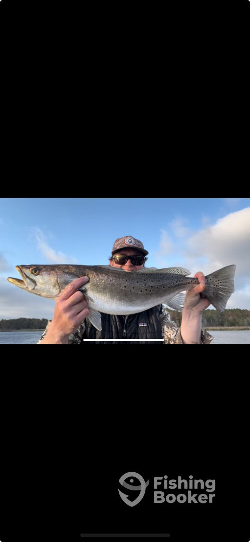 Manteo Report Photo 0