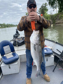 Is it Peak Striper season Yet? Can you s