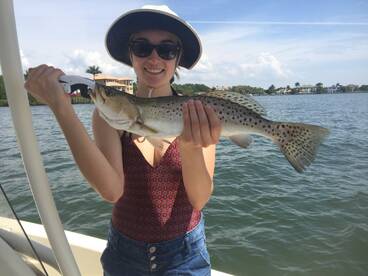 Sarasota Report Photo 2