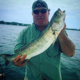 Sarasota Report Photo 1