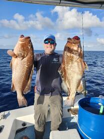 Giant Red Grouper 