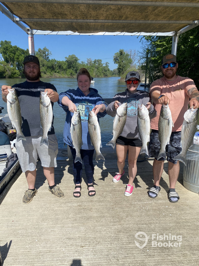 Redding Report Photo 0