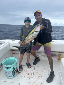 Rincon Report Photo 1