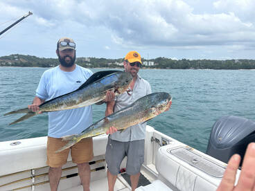 some pics from this week