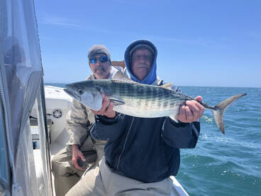 Beaufort Report Photo 1
