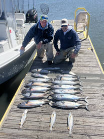 Beaufort Report Photo 2