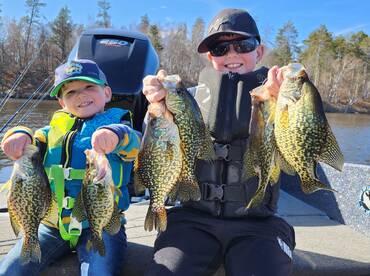 Crappies in the Brainerd Lakes Area 