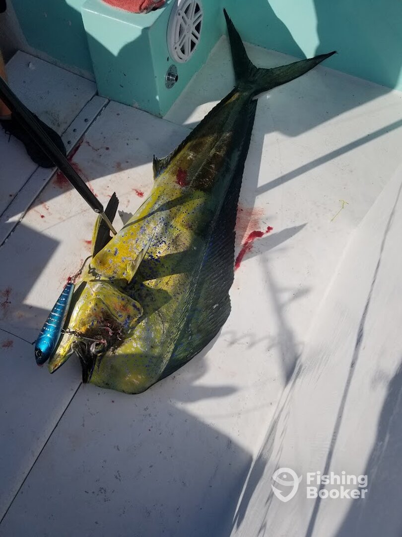 Destin Report Photo 0