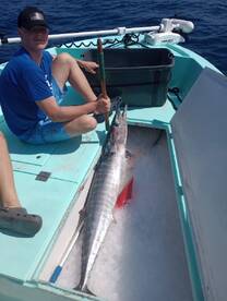 Destin Report Photo 1