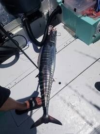 Destin Report Photo 2