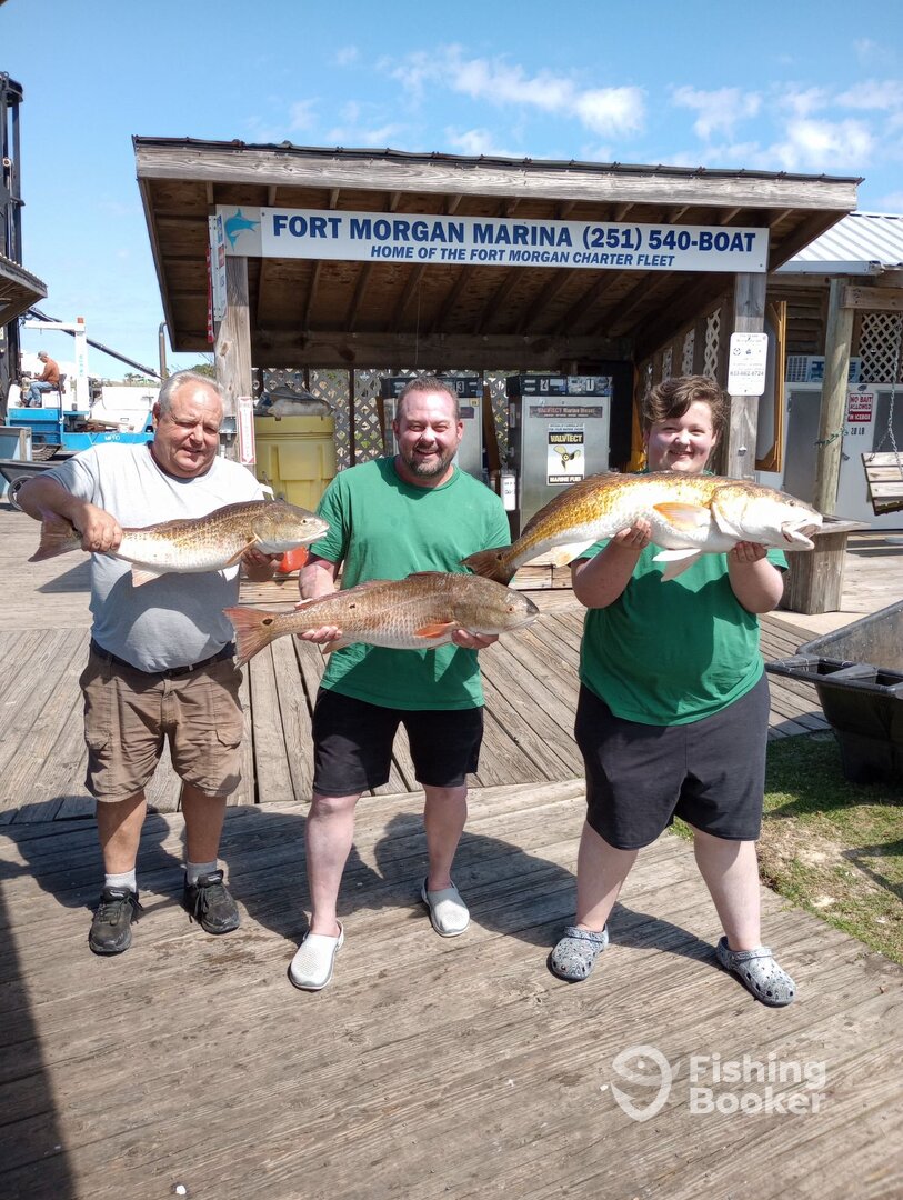 Gulf Shores Report Photo 0