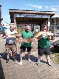 The redfish are here and the bite is on 