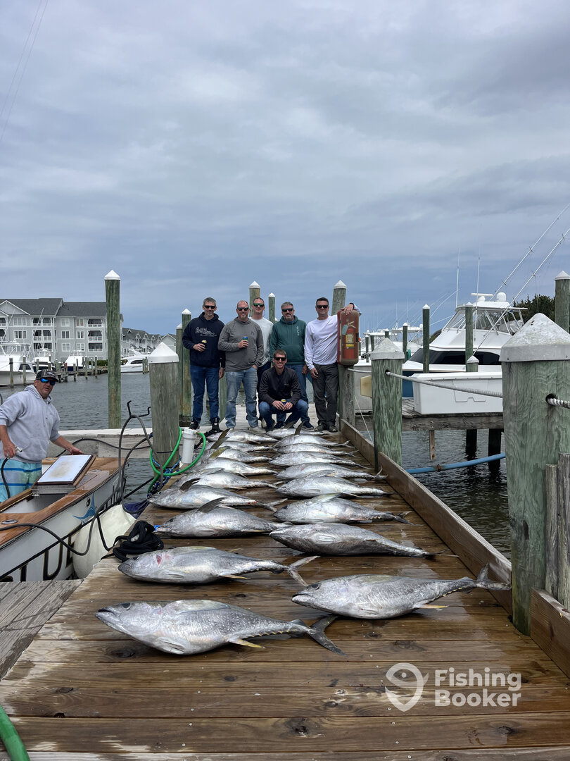 Manteo Report Photo 0