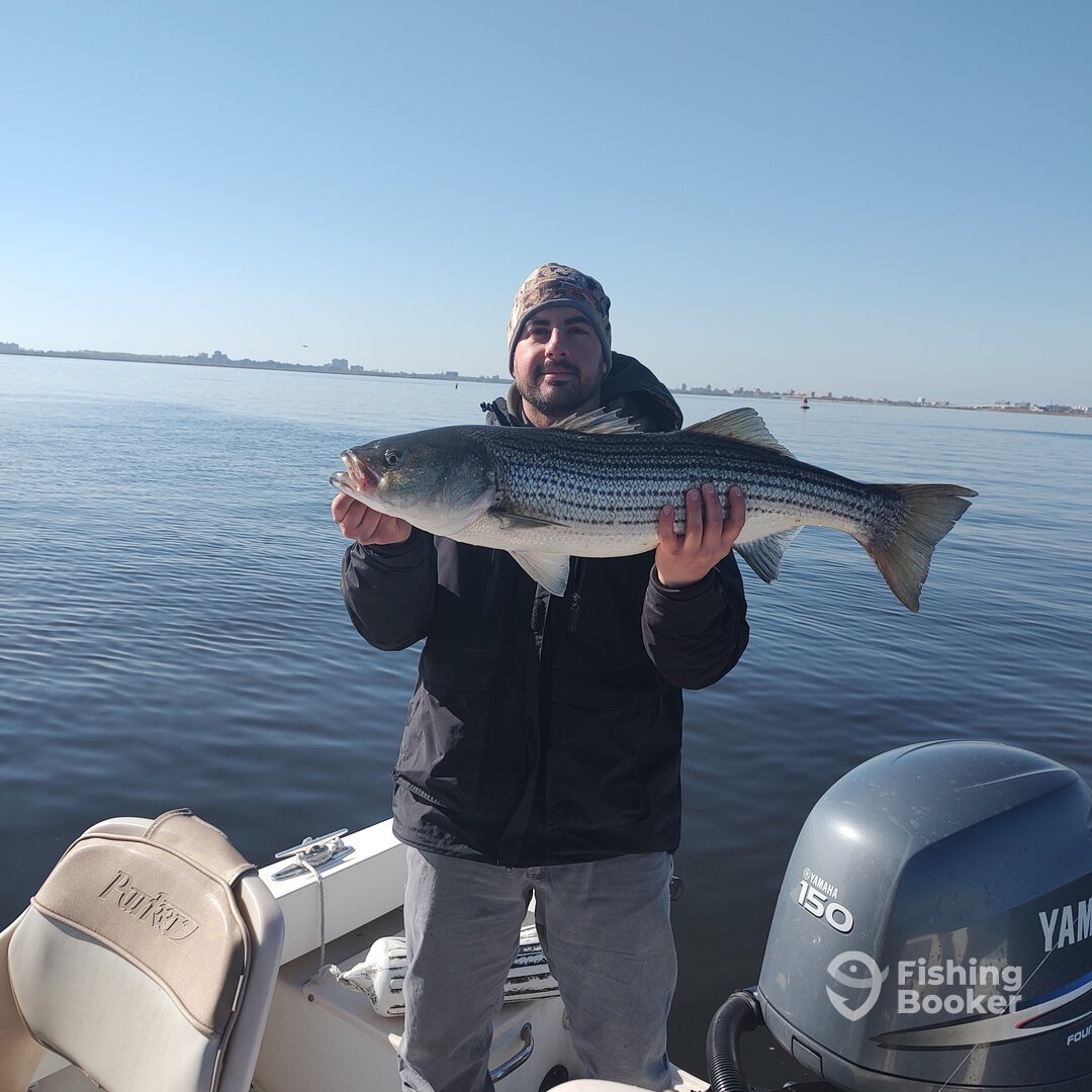 Mastic Report Photo 0