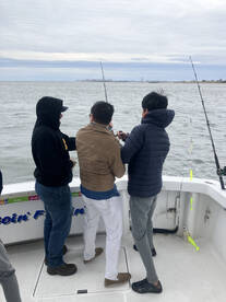 New York City Report Photo 2