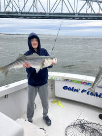 New York City Report Photo 1