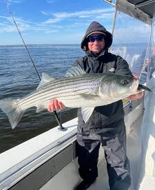 Good Livelining Stripers 