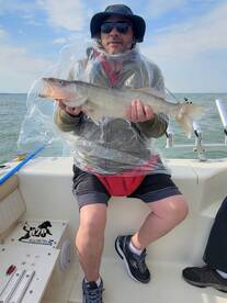 Lake Erie Walleye