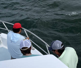 Orange Beach Report Photo 1