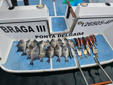Bottom fishing out side Faial da Terra ?
