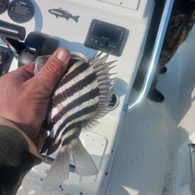 Manteo Report Photo 1
