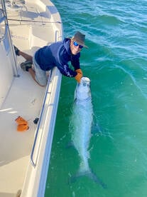 Tarpon Time!