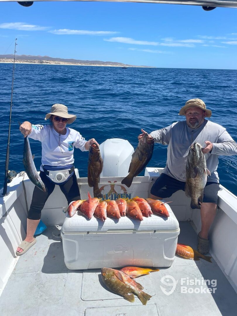 San Jose del Cabo Report Photo 0