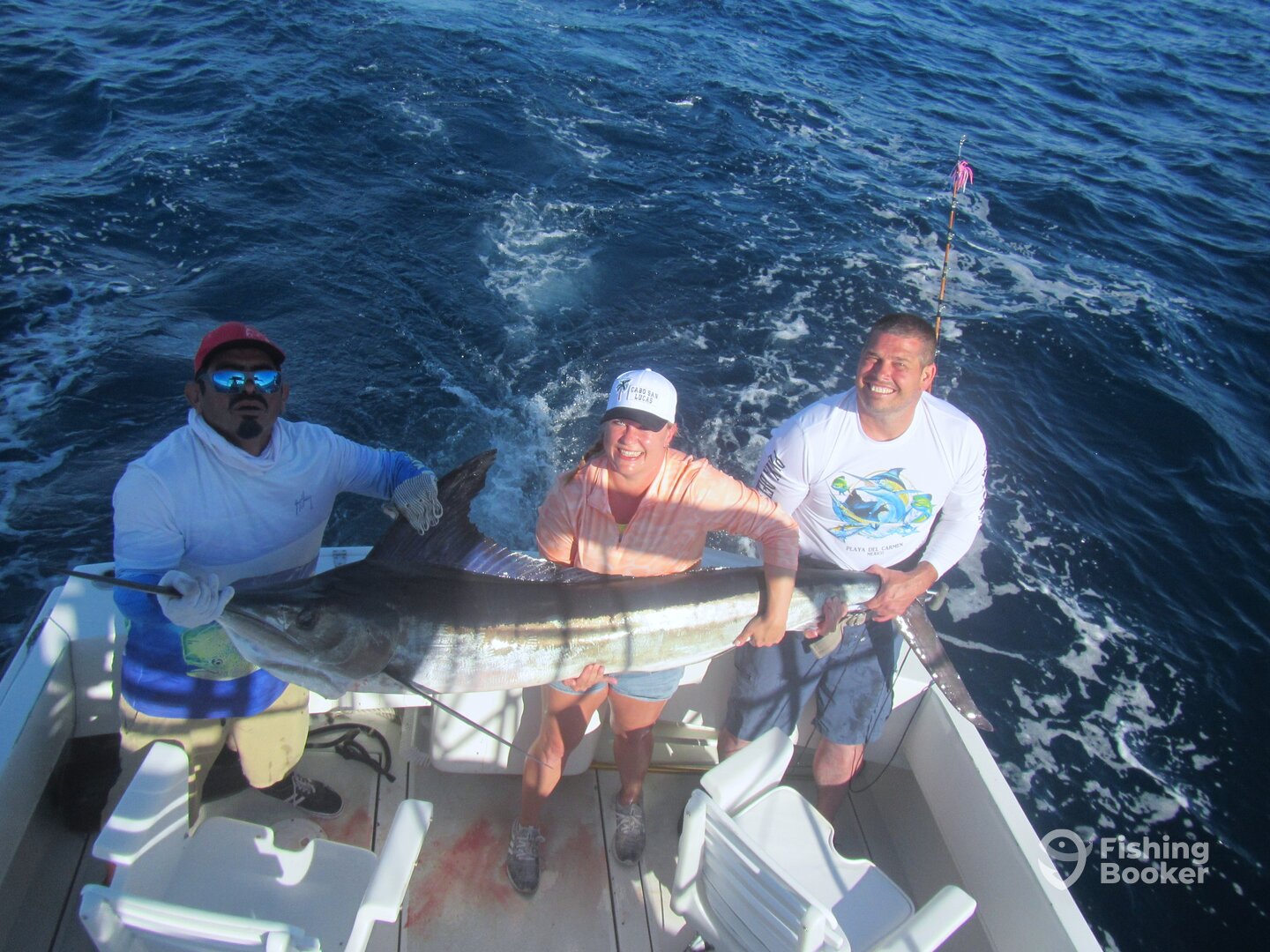 Cabo San Lucas Report Photo 0