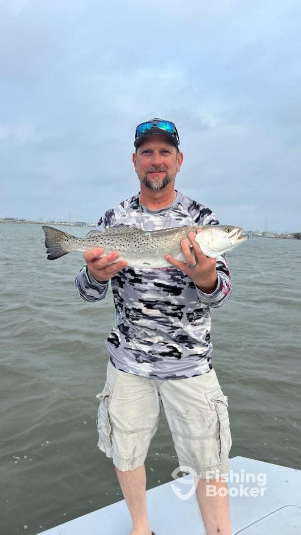 Corpus Christi Report Photo 0